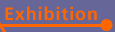 Multimedia for Exhibitions